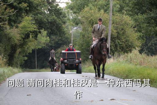 肉桂和桂皮，肉桂和桂皮是一样的吗