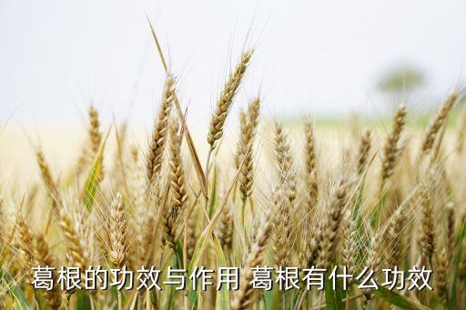 结根的功效与作用，葛根的作用与功效有哪些