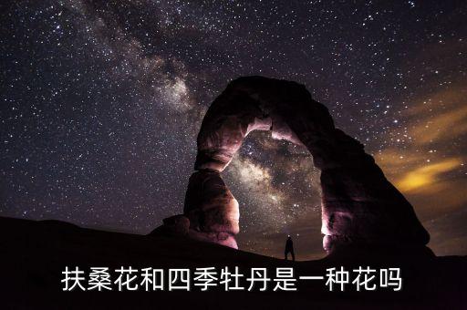 四季牡丹，扶桑花和四季牡丹是一种花吗