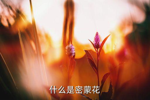 什么是密蒙花