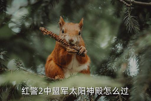 红警2中盟军太阳神殿怎么过