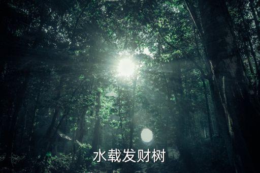水培发财树，发财树能水培吗