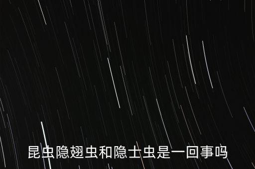 昆虫隐翅虫和隐士虫是一回事吗