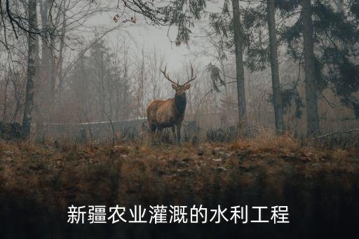 新疆农业灌溉的水利工程
