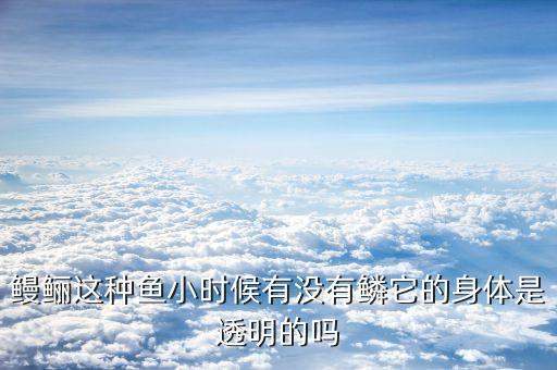 鮰鱼有鳞吗，鲭鱼有鳞吗