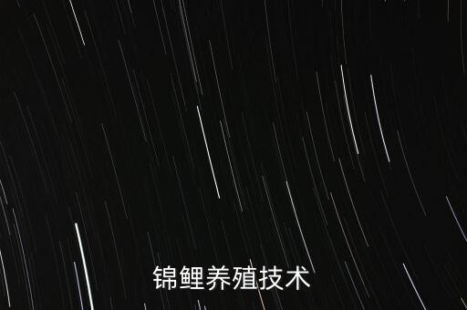 锦鲤养殖，观赏鱼锦鲤怎么养