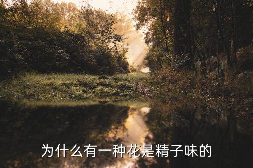 武汉石楠花，为什么有一种花是精子味的