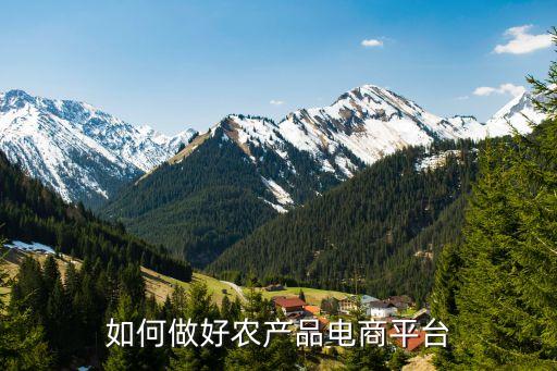 如何做好农产品电商平台
