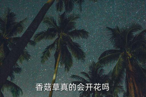 香菇草，香菇草真的会开花吗