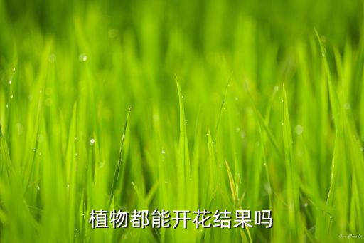 开花结果，巴金爷爷讲的开花结果是什么意思
