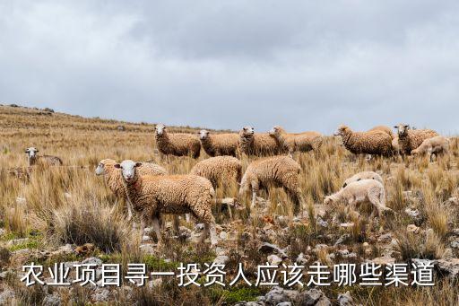 农业项目寻一投资人应该走哪些渠道