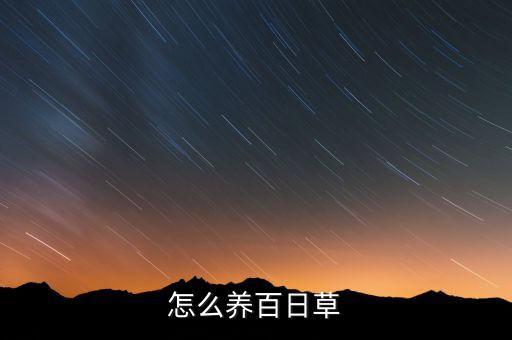 花园百日草，如何种植百日草