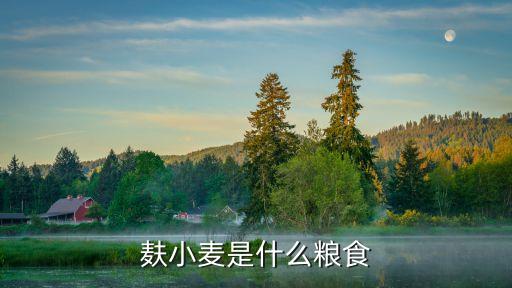 麸小麦是什么粮食
