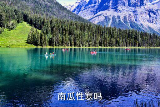 南瓜性寒吗