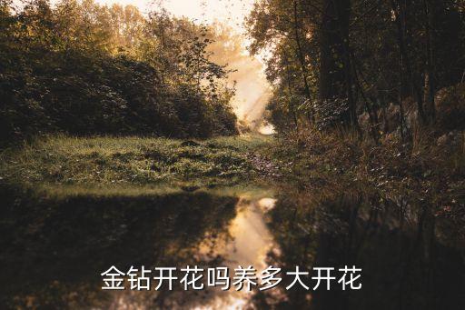 金钻开花吗，金钻开花吗养殖多长时间开花