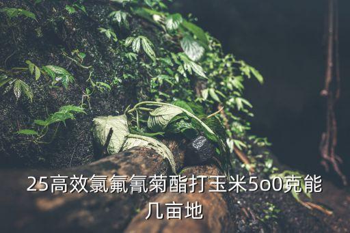 25高效氯氟氰菊酯打玉米5o0克能几亩地