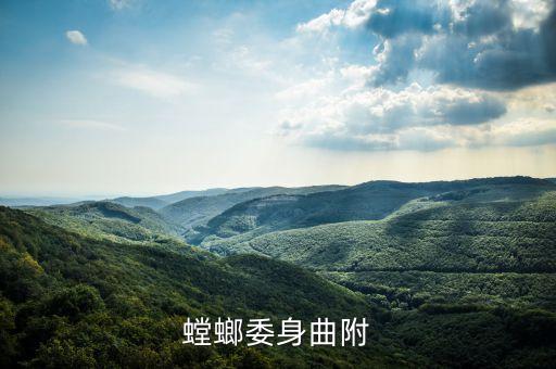 小提琴螳螂，会拉琴的小虫是什么