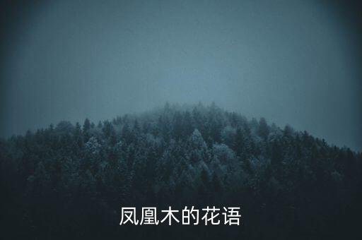 凤凰木的花语
