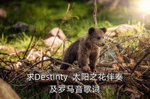 太阳之花，岛谷瞳的Destiny太阳花歌词含假名