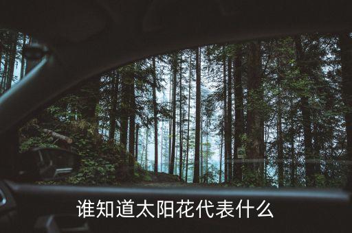 谁知道太阳花代表什么