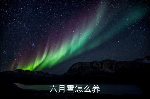六月雪怎么养