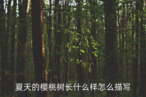 樱桃树长什么样，樱桃树是什么样的