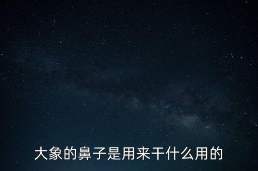 大象鼻子，大象的鼻子是做什么用的