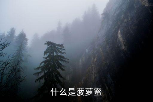 什么是菠萝蜜