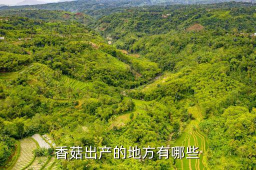 香菇出产的地方有哪些