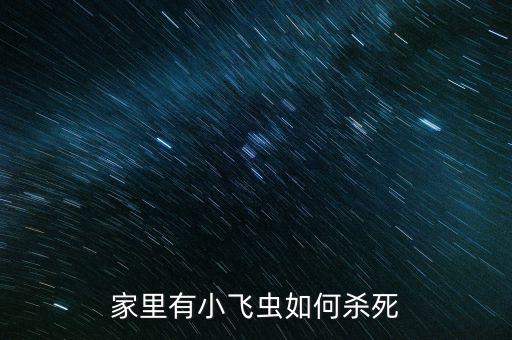 家里有小飞虫，家里老有小飞虫可怎么办