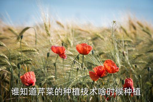 芹菜种植技术和种植时间，芹菜什么时候种植