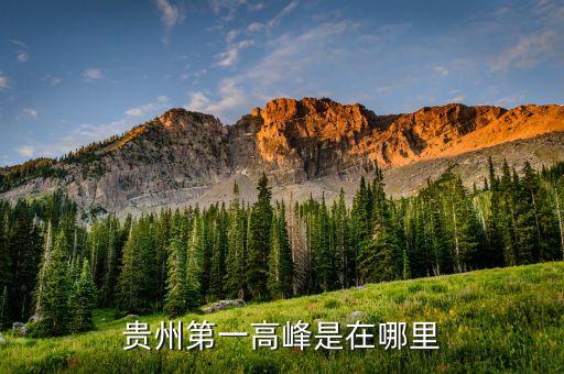 韭菜坪，马关仁和韮菜坪历史资料