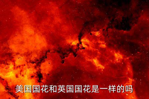 美国国花和英国国花是一样的吗