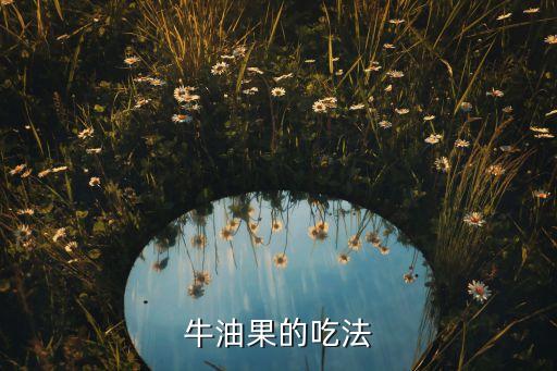 牛油果的吃法