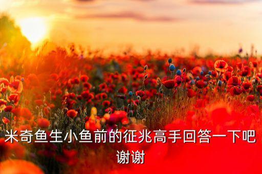 米奇鱼生小鱼前的征兆高手回答一下吧谢谢