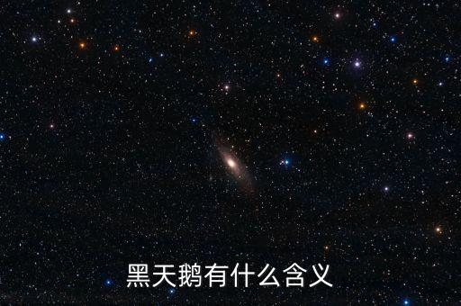 黑天鹅的寓意，谁能告诉我黑天鹅有哪些含义