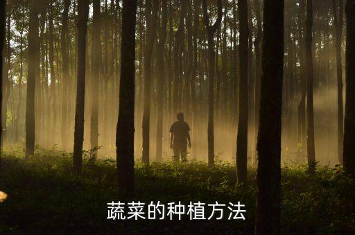 怎么种菜，蔬菜的种植方法