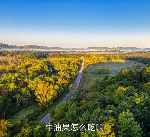 牛油果怎么吃啊