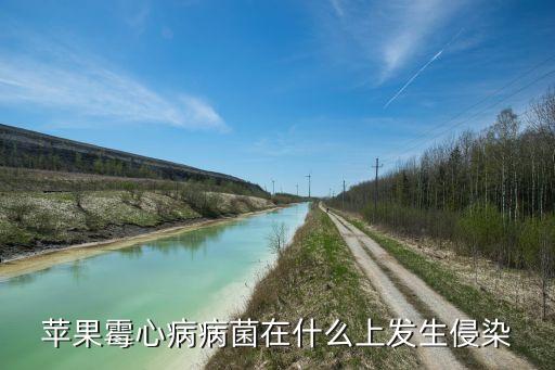 苹果霉心病病菌在什么上发生侵染