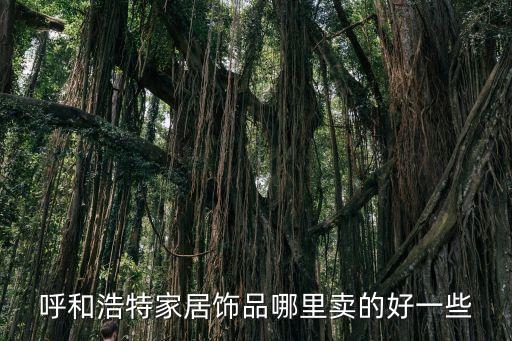 呼和浩特家居饰品哪里卖的好一些