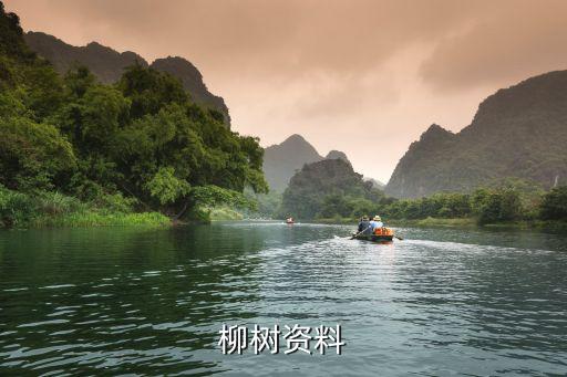 柳树图片大全大图，柳树资料