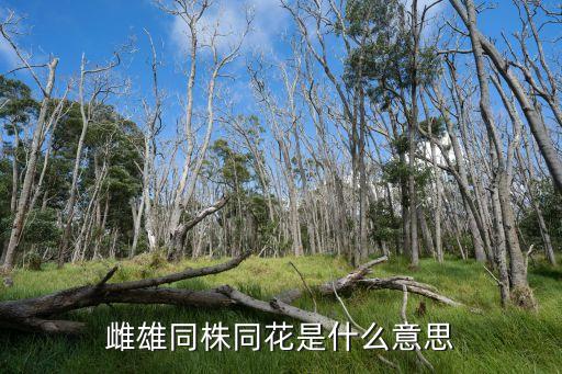 雌雄同花，雌雄同株同花是什么意思