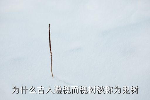 槐树镇宅还是招鬼，为什么古人遵槐而槐树被称为鬼树