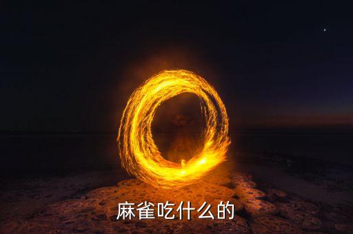 山麻雀吃什么，麻雀喜欢吃什么
