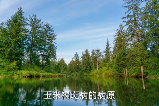 玉米褐斑病，甲基硫菌灵能治玉米褐斑病吗