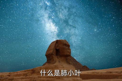 什么是肺小叶