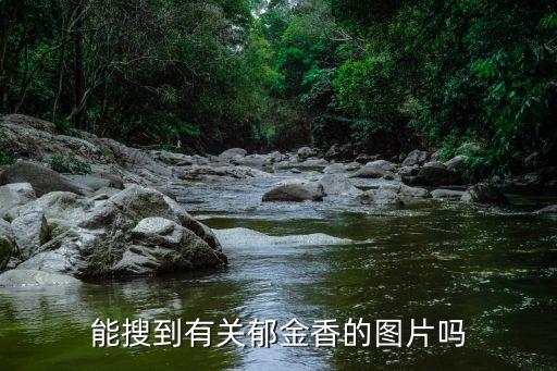 郁金香图片大全大图，十大名花的图片