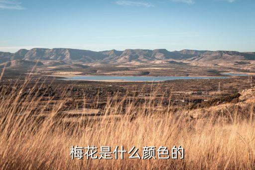 梅花是什么颜色的