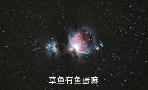 草鱼有鱼蛋嘛