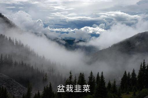 小韭菜，大韭菜和小韭菜的功效一样吗